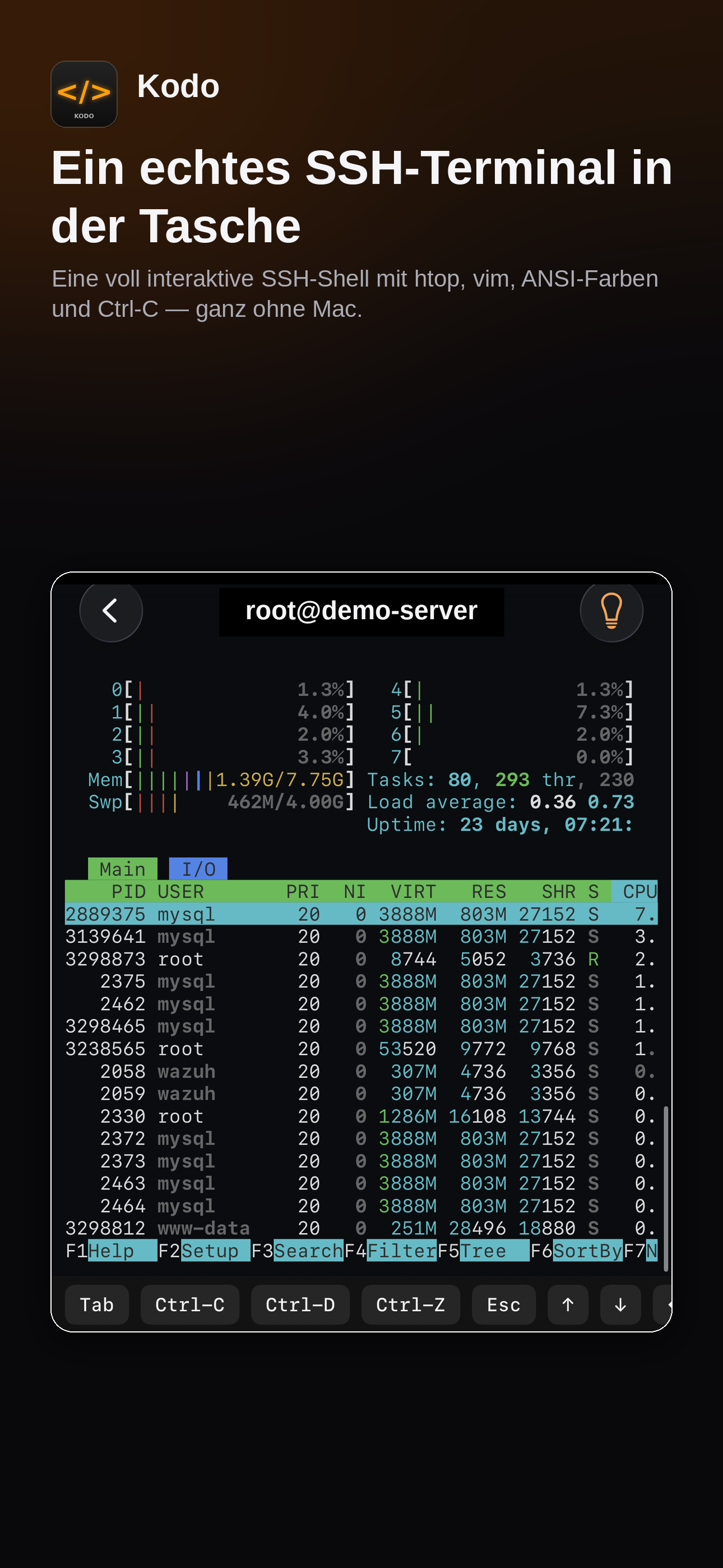 Kodo SSH terminal
