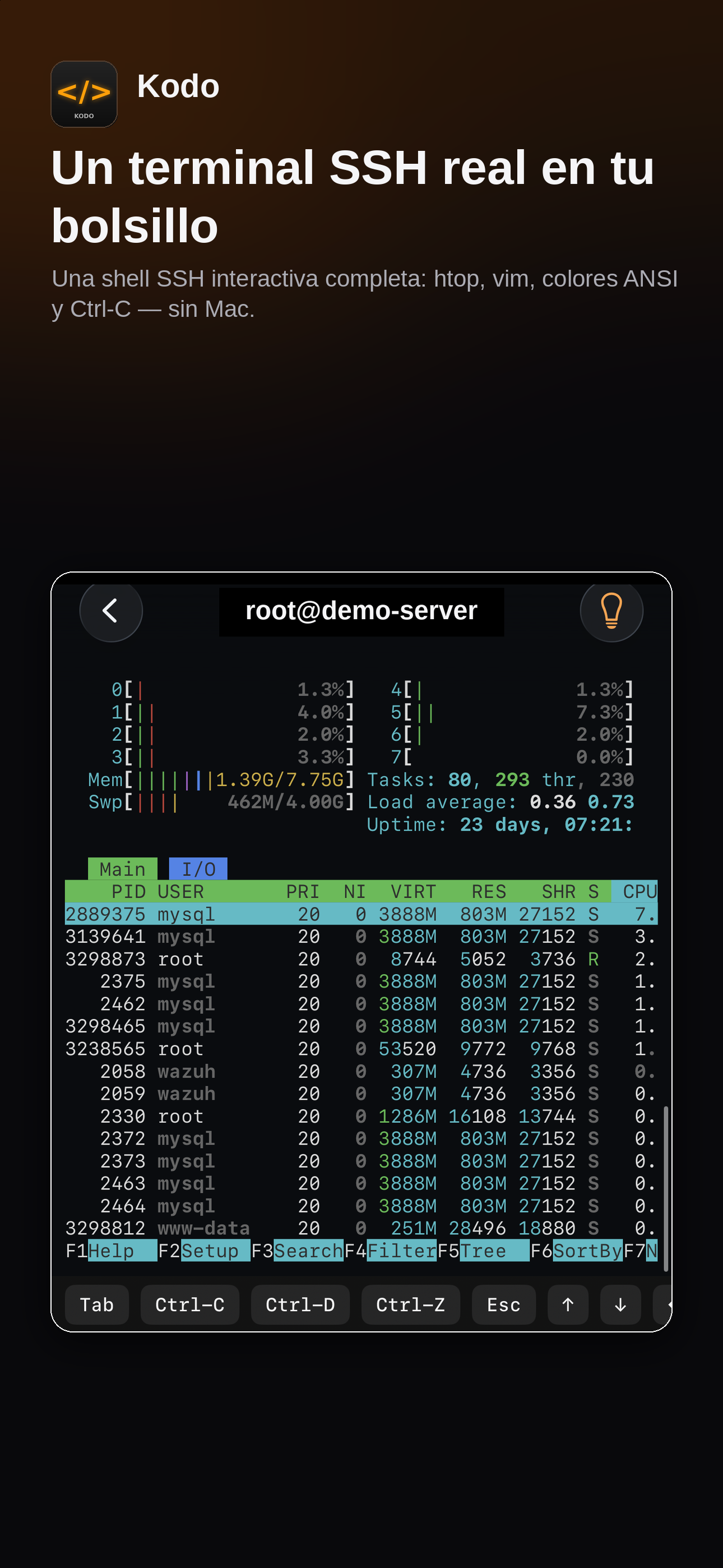 Kodo SSH terminal