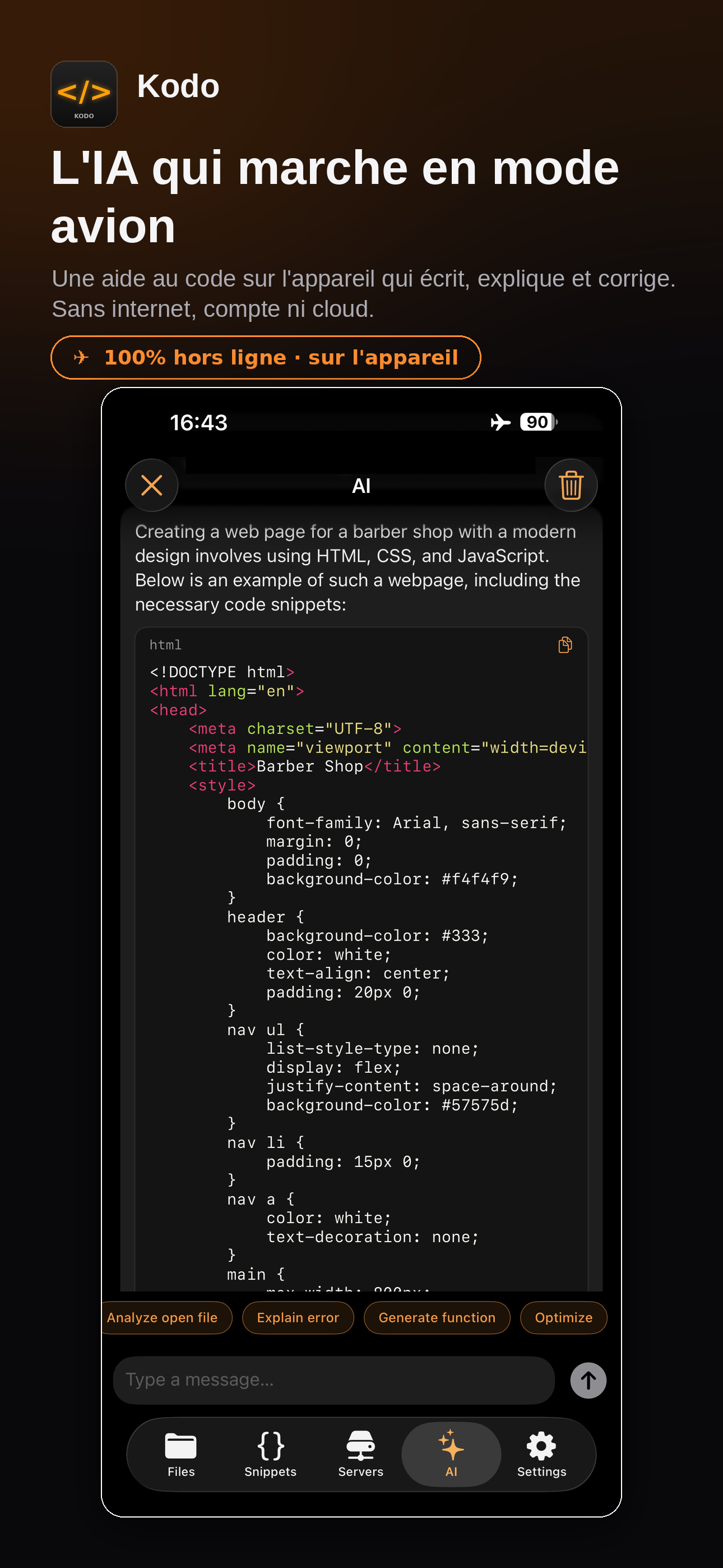 Kodo offline AI