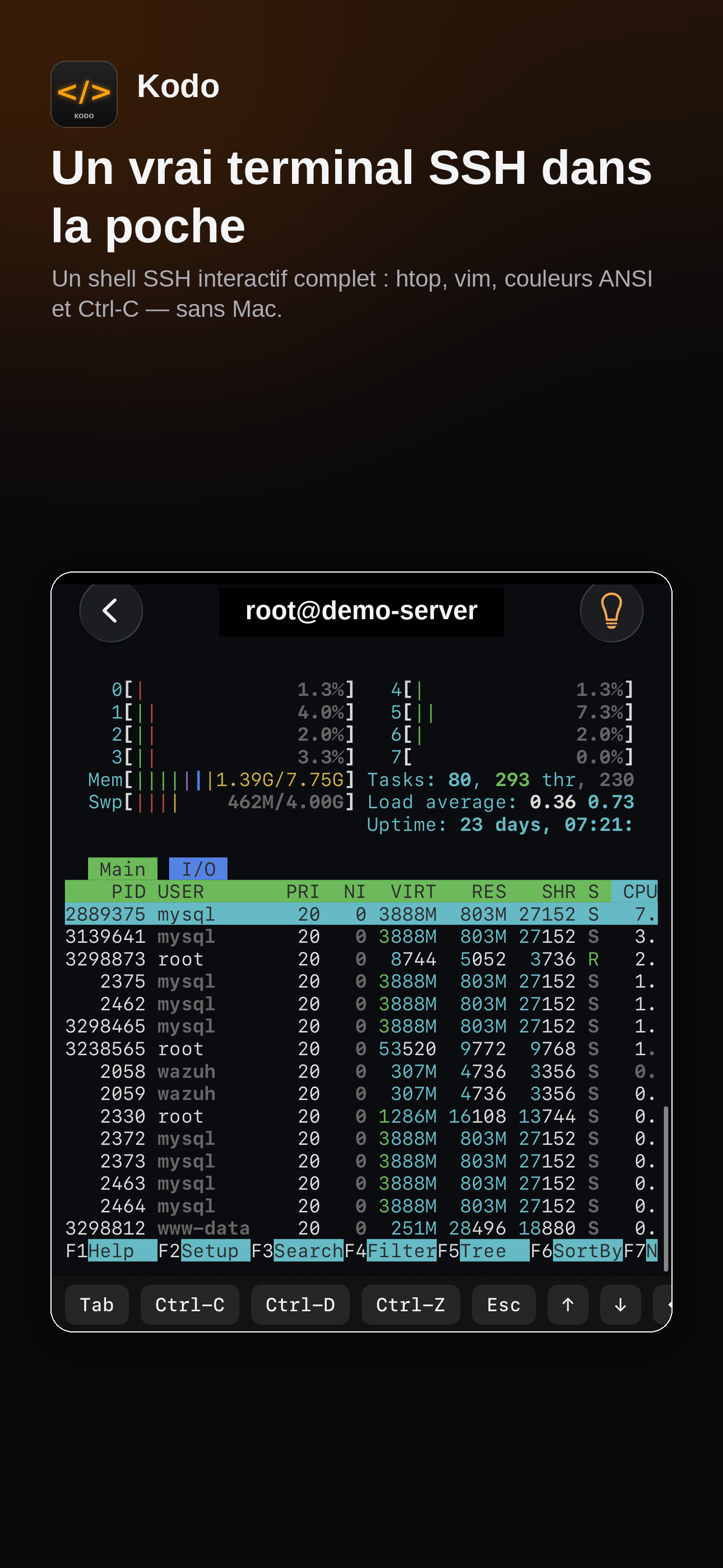 Kodo SSH terminal