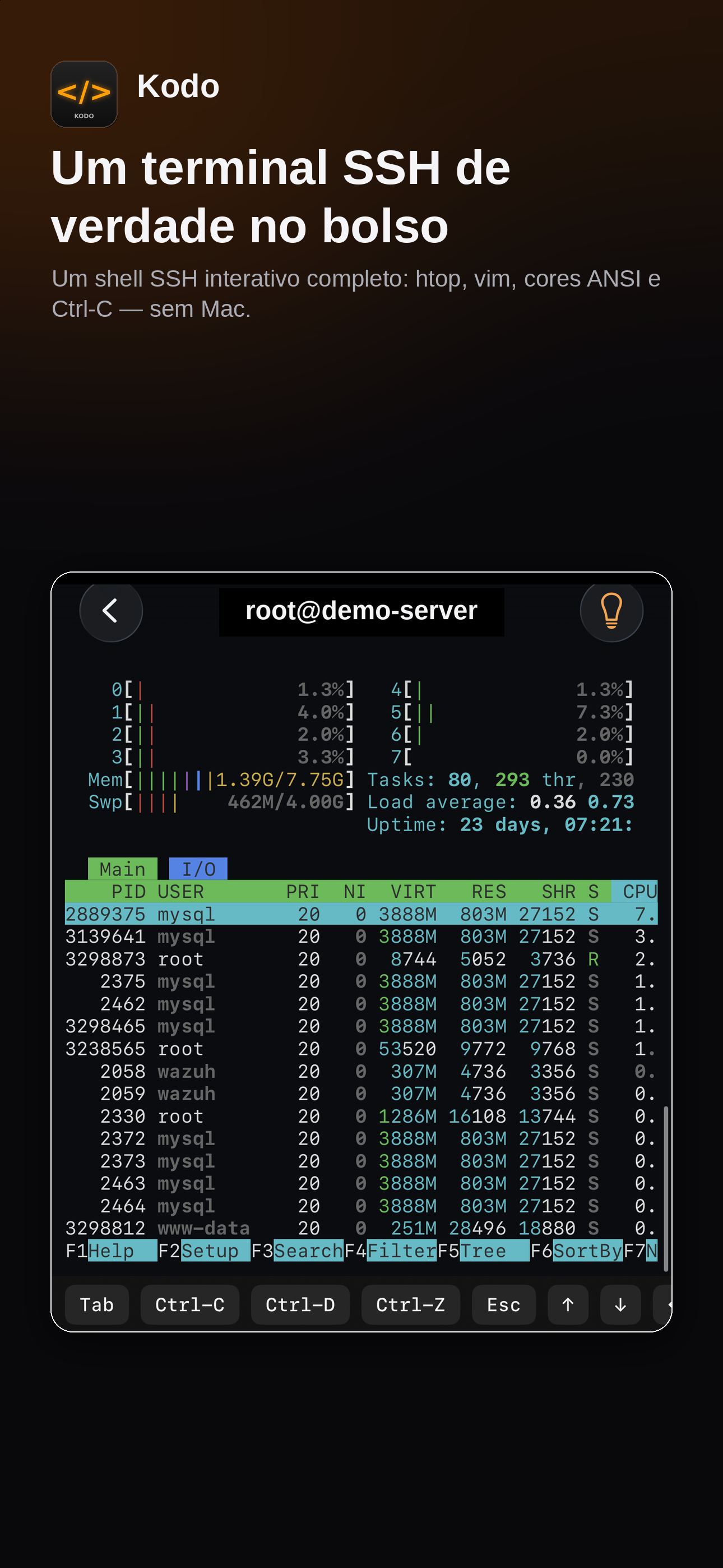 Kodo SSH terminal
